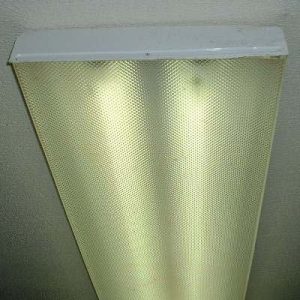 I think the buzzing noise is melting my brain