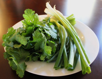 Cilantro and scallions