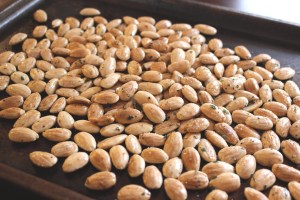 Fried Almonds with herbs. Pretty damned tasty, especially when paired with a cocktail